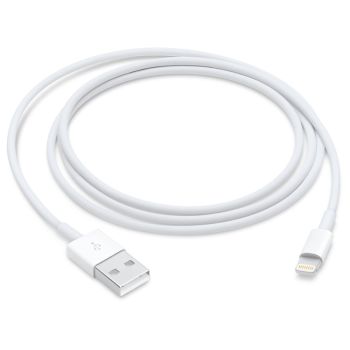 Apple Lightning to USB 1m Cable