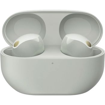 Sony Truly Wireless Noise Canceling Earbuds, Silver