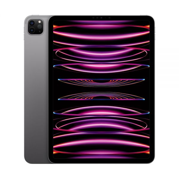 iPad Pro 11-inch (4th Gen), 256GB, Space Gray