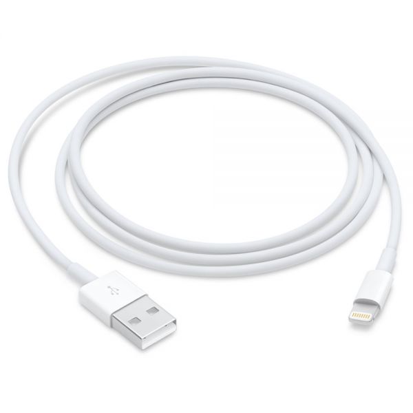 James Dyson Janice kulhydrat Apple Lightning to USB 1m Cable