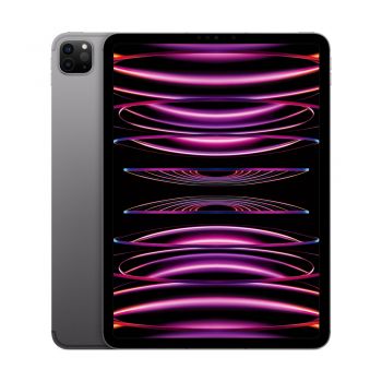 iPad Pro 11-inch (4th Gen), 256GB, Space Gray, Cellular